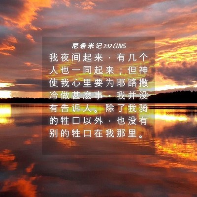 Picture 04 - 尼 希 米 记 2:12 CUVS - 我 夜 间 起 来 ， 有 几 个 人 也 一 - Bible Verse Picture