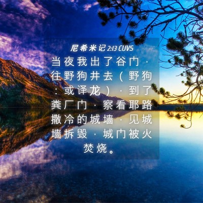Picture 04 - 尼 希 米 记 2:13 CUVS - 当 夜 我 出 了 谷 门 ， 往 野 狗 井 - Bible Verse Picture