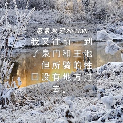 Picture 04 - 尼 希 米 记 2:14 CUVS - 我 又 往 前 ， 到 了 泉 门 和 王 池 - Bible Verse Picture