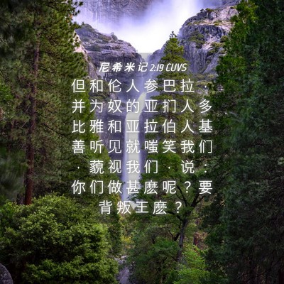 Picture 04 - 尼 希 米 记 2:19 CUVS - 但 和 伦 人 参 巴 拉 ， 并 为 奴 的 - Bible Verse Picture