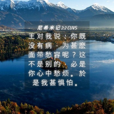 Picture 04 - 尼 希 米 记 2:2 CUVS - 王 对 我 说 ： 你 既 没 有 病 ， 为 - Bible Verse Picture