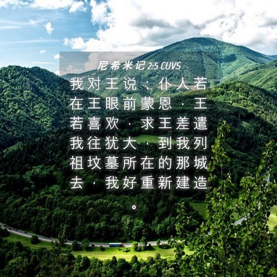 Picture 04 - 尼 希 米 记 2:5 CUVS - 我 对 王 说 ： 仆 人 若 在 王 眼 前 - Bible Verse Picture