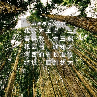 Picture 04 - 尼 希 米 记 2:7 CUVS - 我 又 对 王 说 ： 王 若 喜 欢 ， 求 - Bible Verse Picture