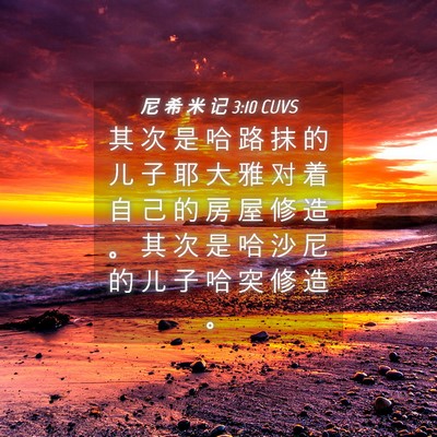 Picture 04 - 尼 希 米 记 3:10 CUVS - 其 次 是 哈 路 抹 的 儿 子 耶 大 雅 - Bible Verse Picture