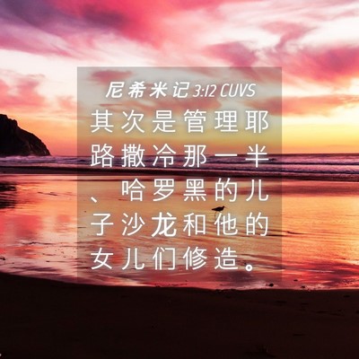 Picture 04 - 尼 希 米 记 3:12 CUVS - 其 次 是 管 理 耶 路 撒 冷 那 一 半 - Bible Verse Picture
