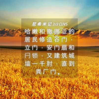 Picture 04 - 尼 希 米 记 3:13 CUVS - 哈 嫩 和 撒 挪 亚 的 居 民 修 造 谷 - Bible Verse Picture