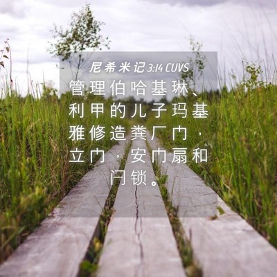 Picture 04 - 尼 希 米 记 3:14 CUVS - 管 理 伯 哈 基 琳 、 利 甲 的 儿 子 - Bible Verse Picture