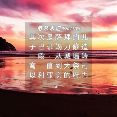 Picture 04 - 尼 希 米 记 3:20 CUVS - 其 次 是 萨 拜 的 儿 子 巴 录 竭 力 - Bible Verse Picture