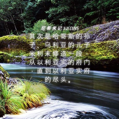 Picture 04 - 尼 希 米 记 3:21 CUVS - 其 次 是 哈 哥 斯 的 孙 子 、 乌 利 - Bible Verse Picture