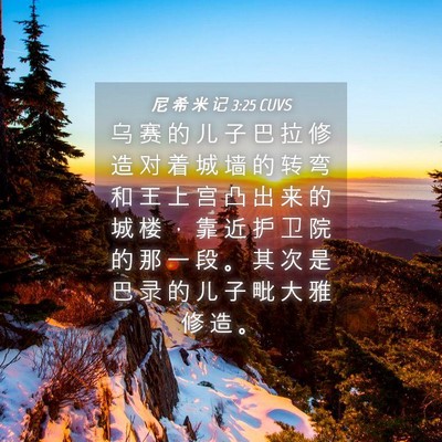 Picture 04 - 尼 希 米 记 3:25 CUVS - 乌 赛 的 儿 子 巴 拉 修 造 对 着 城 - Bible Verse Picture