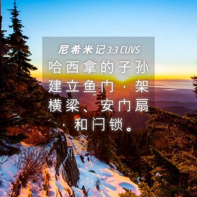 Picture 04 - 尼 希 米 记 3:3 CUVS - 哈 西 拿 的 子 孙 建 立 鱼 门 ， 架 - Bible Verse Picture