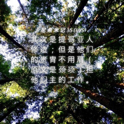 Picture 04 - 尼 希 米 记 3:5 CUVS - 其 次 是 提 哥 亚 人 修 造 ； 但 是 - Bible Verse Picture