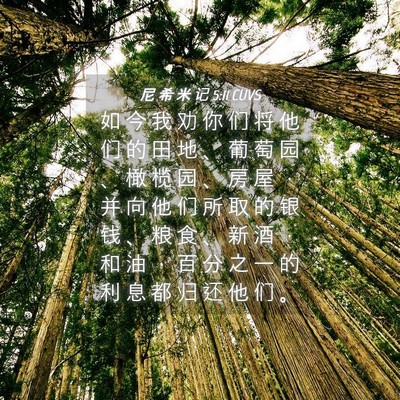 Picture 04 - 尼 希 米 记 5:11 CUVS - 如 今 我 劝 你 们 将 他 们 的 田 地 - Bible Verse Picture