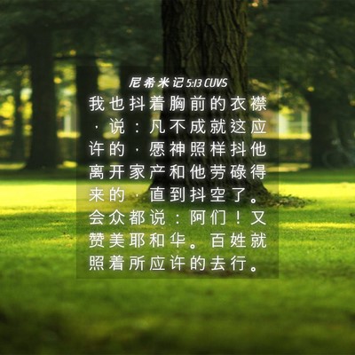 Picture 04 - 尼 希 米 记 5:13 CUVS - 我 也 抖 着 胸 前 的 衣 襟 ， 说 ： - Bible Verse Picture