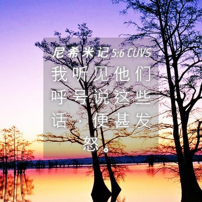 Picture 04 - 尼 希 米 记 5:6 CUVS - 我 听 见 他 们 呼 号 说 这 些 话 ， - Bible Verse Picture