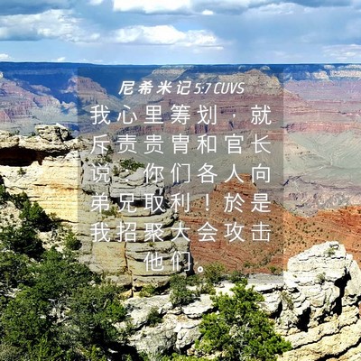 Picture 04 - 尼 希 米 记 5:7 CUVS - 我 心 里 筹 划 ， 就 斥 责 贵 胄 和 - Bible Verse Picture
