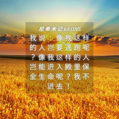 Picture 04 - 尼 希 米 记 6:11 CUVS - 我 说 ： 像 我 这 样 的 人 岂 要 逃 - Bible Verse Picture