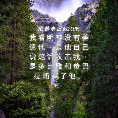 Picture 04 - 尼 希 米 记 6:12 CUVS - 我 看 明 神 没 有 差 遣 他 ， 是 他 - Bible Verse Picture