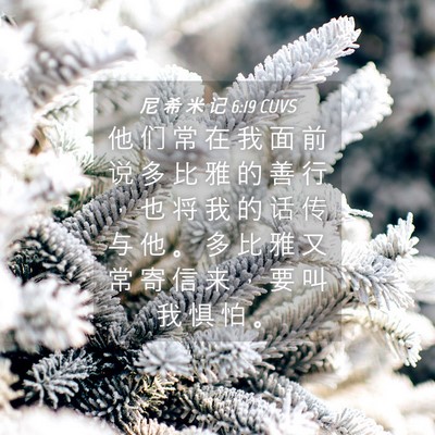 Picture 04 - 尼 希 米 记 6:19 CUVS - 他 们 常 在 我 面 前 说 多 比 雅 的 - Bible Verse Picture