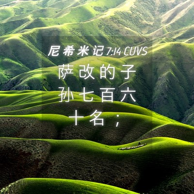 Picture 04 - 尼 希 米 记 7:14 CUVS - 萨 改 的 子 孙 七 百 六 十 名 - Bible Verse Picture