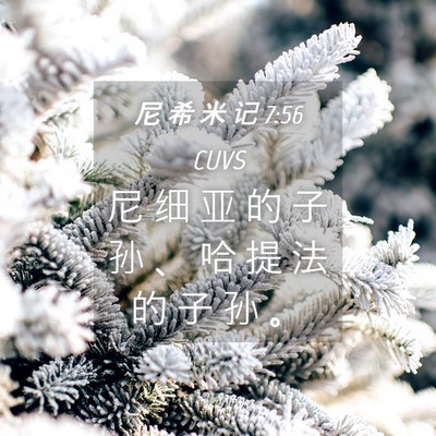 Picture 04 - 尼 希 米 记 7:56 CUVS - 尼 细 亚 的 子 孙 、 哈 提 法 的 子 - Bible Verse Picture