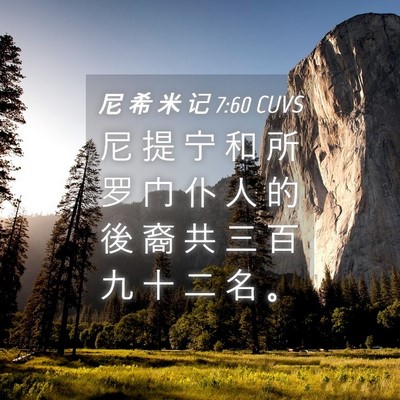 Picture 04 - 尼 希 米 记 7:60 CUVS - 尼 提 宁 和 所 罗 门 仆 人 的 後 裔 - Bible Verse Picture