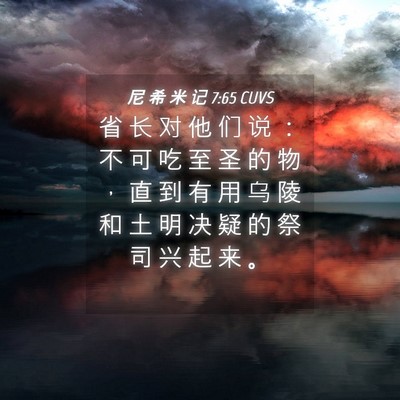 Picture 04 - 尼 希 米 记 7:65 CUVS - 省 长 对 他 们 说 ： 不 可 吃 至 圣 - Bible Verse Picture
