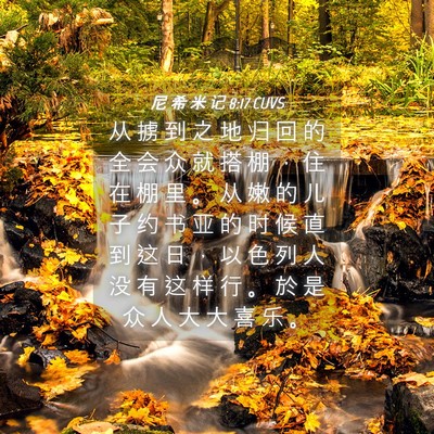 Picture 04 - 尼 希 米 记 8:17 CUVS - 从 掳 到 之 地 归 回 的 全 会 众 就 - Bible Verse Picture