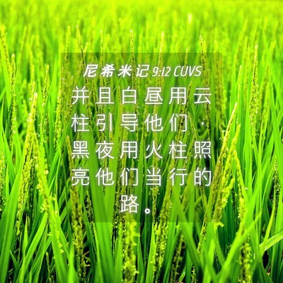 Picture 04 - 尼 希 米 记 9:12 CUVS - 并 且 白 昼 用 云 柱 引 导 他 们 ， - Bible Verse Picture