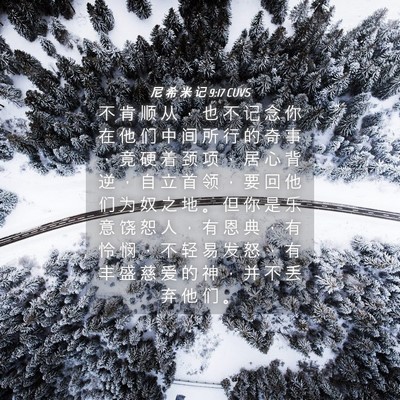Picture 04 - 尼 希 米 记 9:17 CUVS - 不 肯 顺 从 ， 也 不 记 念 你 在 他 - Bible Verse Picture