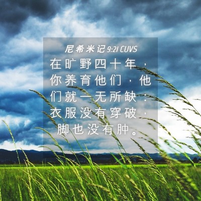 Picture 04 - 尼 希 米 记 9:21 CUVS - 在 旷 野 四 十 年 ， 你 养 育 他 们 - Bible Verse Picture