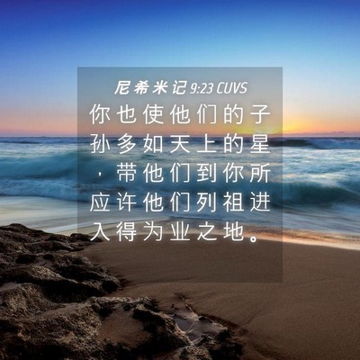 Picture 04 - 尼 希 米 记 9:23 CUVS - 你 也 使 他 们 的 子 孙 多 如 天 上 - Bible Verse Picture