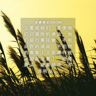 Picture 04 - 尼 希 米 记 9:29 CUVS - 又 警 戒 他 们 ， 要 使 他 们 归 服 - Bible Verse Picture