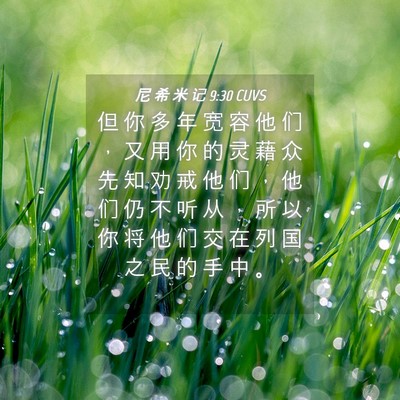 Picture 04 - 尼 希 米 记 9:30 CUVS - 但 你 多 年 宽 容 他 们 ， 又 用 你 - Bible Verse Picture
