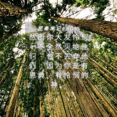 Picture 04 - 尼 希 米 记 9:31 CUVS - 然 而 你 大 发 怜 悯 ， 不 全 然 灭 - Bible Verse Picture