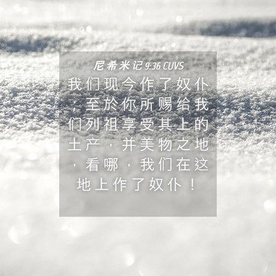 Picture 04 - 尼 希 米 记 9:36 CUVS - 我 们 现 今 作 了 奴 仆 ； 至 於 你 - Bible Verse Picture