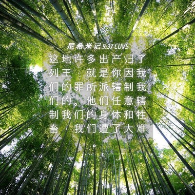 Picture 04 - 尼 希 米 记 9:37 CUVS - 这 地 许 多 出 产 归 了 列 王 ， 就 - Bible Verse Picture