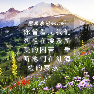 Picture 04 - 尼 希 米 记 9:9 CUVS - 你 曾 看 见 我 们 列 祖 在 埃 及 所 - Bible Verse Picture