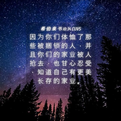 Picture 04 - 希 伯 来 书 10:34 CUVS - 因 为 你 们 体 恤 了 那 些 被 捆 锁 - Bible Verse Picture