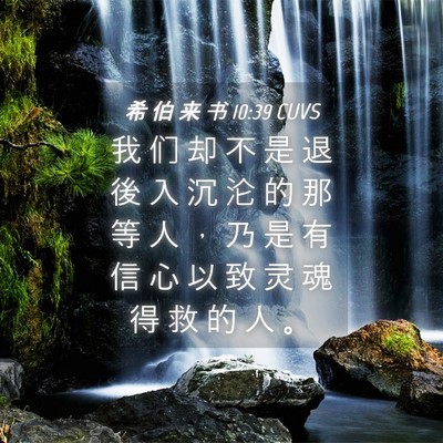 Picture 04 - 希 伯 来 书 10:39 CUVS - 我 们 却 不 是 退 後 入 沉 沦 的 那 - Bible Verse Picture