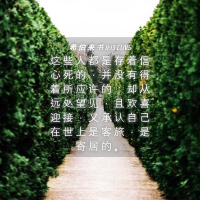 Picture 04 - 希 伯 来 书 11:13 CUVS - 这 些 人 都 是 存 着 信 心 死 的 ， - Bible Verse Picture