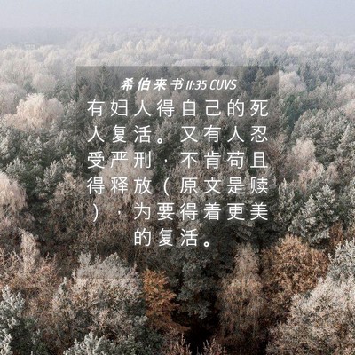 Picture 04 - 希 伯 来 书 11:35 CUVS - 有 妇 人 得 自 己 的 死 人 复 活 。 - Bible Verse Picture