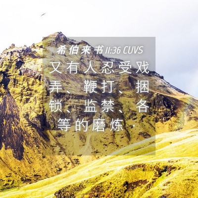 Picture 04 - 希 伯 来 书 11:36 CUVS - 又 有 人 忍 受 戏 弄 、 鞭 打 、 捆 - Bible Verse Picture