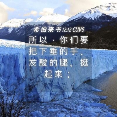 Picture 04 - 希 伯 来 书 12:12 CUVS - 所 以 ， 你 们 要 把 下 垂 的 手 、 - Bible Verse Picture