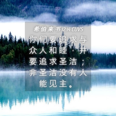 Picture 04 - 希 伯 来 书 12:14 CUVS - 你 们 要 追 求 与 众 人 和 睦 ， 并 - Bible Verse Picture