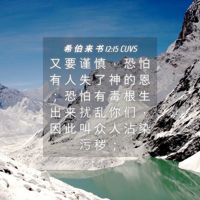 Picture 04 - 希 伯 来 书 12:15 CUVS - 又 要 谨 慎 ， 恐 怕 有 人 失 了 神 - Bible Verse Picture