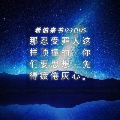 Picture 04 - 希 伯 来 书 12:3 CUVS - 那 忍 受 罪 人 这 样 顶 撞 的 ， 你 - Bible Verse Picture