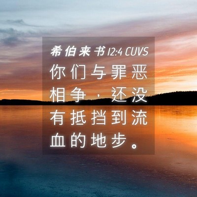 Picture 04 - 希 伯 来 书 12:4 CUVS - 你 们 与 罪 恶 相 争 ， 还 没 有 抵 - Bible Verse Picture
