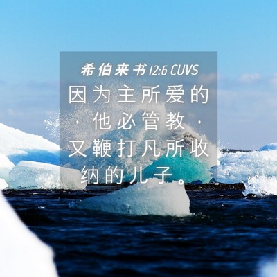 Picture 04 - 希 伯 来 书 12:6 CUVS - 因 为 主 所 爱 的 ， 他 必 管 教 ， - Bible Verse Picture