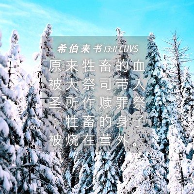 Picture 04 - 希 伯 来 书 13:11 CUVS - 原 来 牲 畜 的 血 被 大 祭 司 带 入 - Bible Verse Picture
